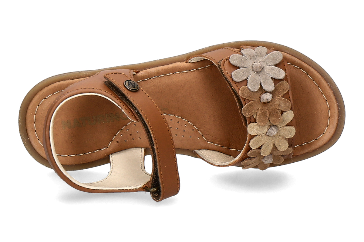 NATURINO-nindy-cog_482300001_5