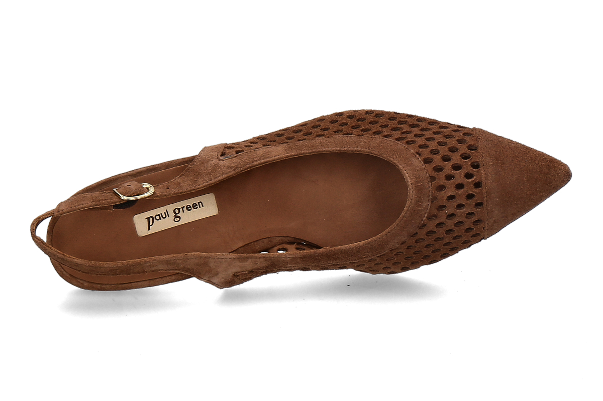 paul green samtziege nut_294300006_4