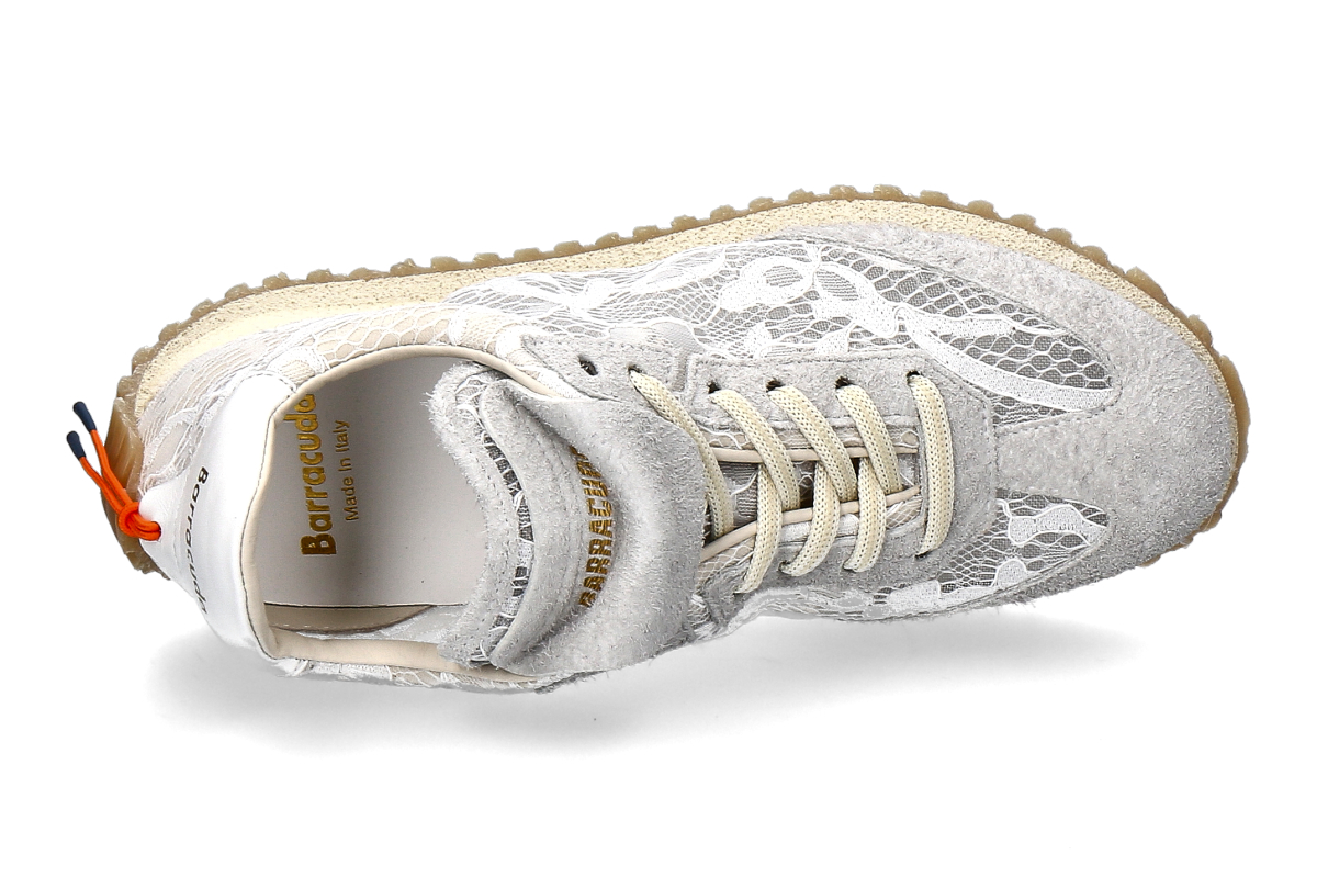 Barracuda ottico_232900552_5