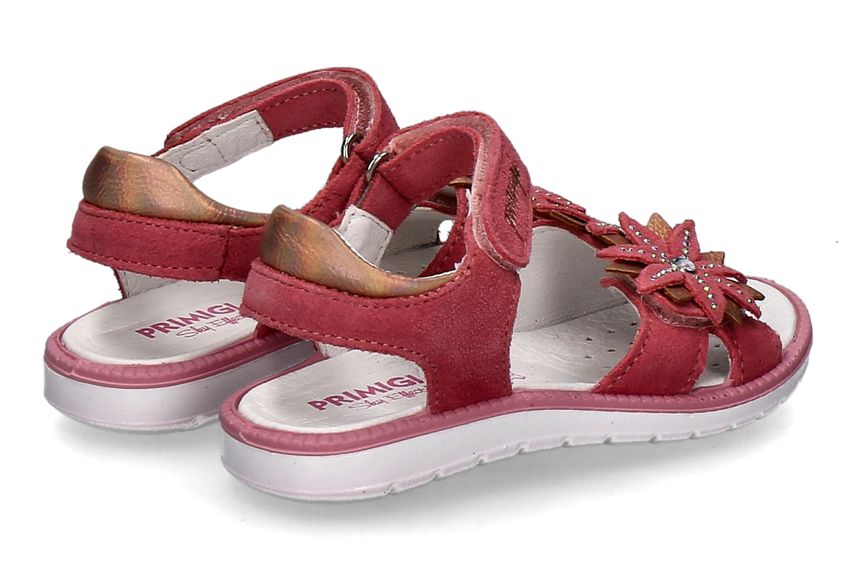 PRIMIGI scamosciato geranio_482500005_2