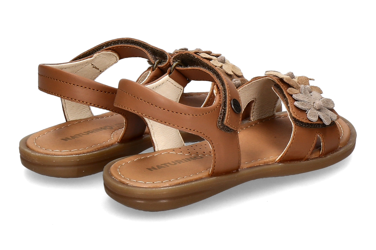 NATURINO-nindy-cog_482300001_2