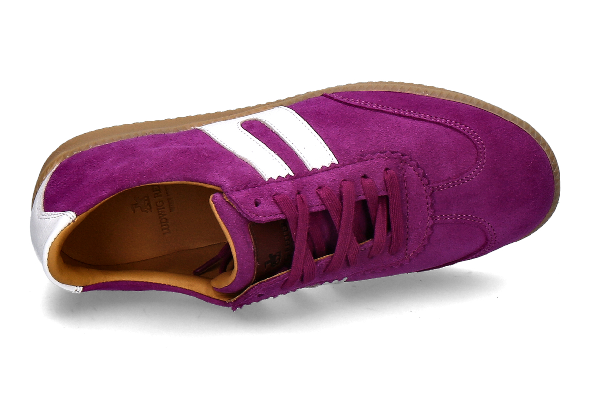 Ludwig Reiter lila_232900563_5