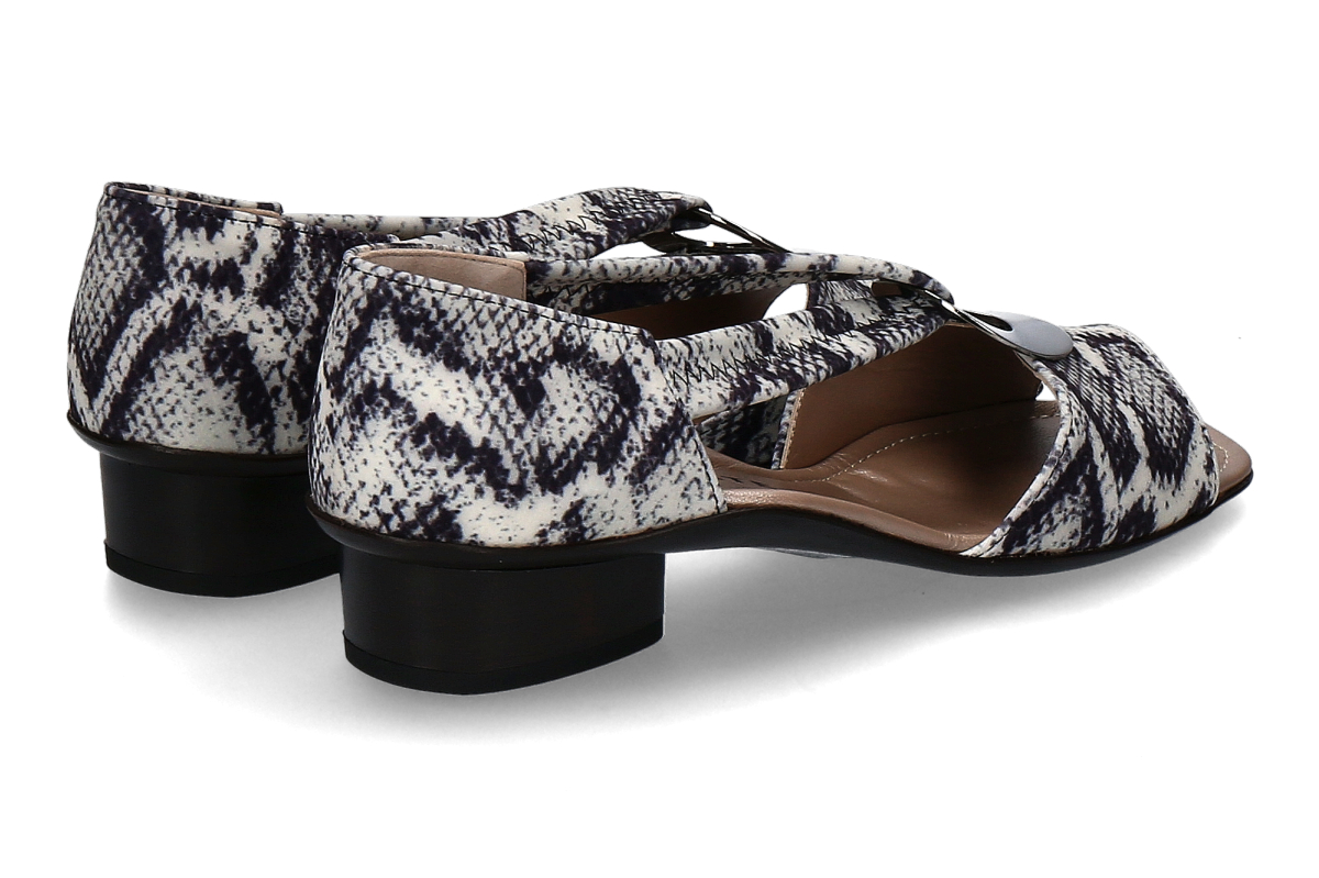 BURANTE snake roccia_242900412_2