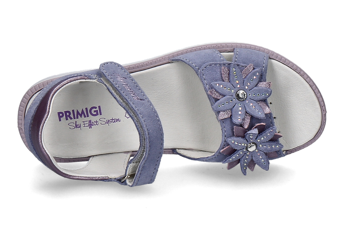 PRIMIGI scamosciato indaco_482800002_5